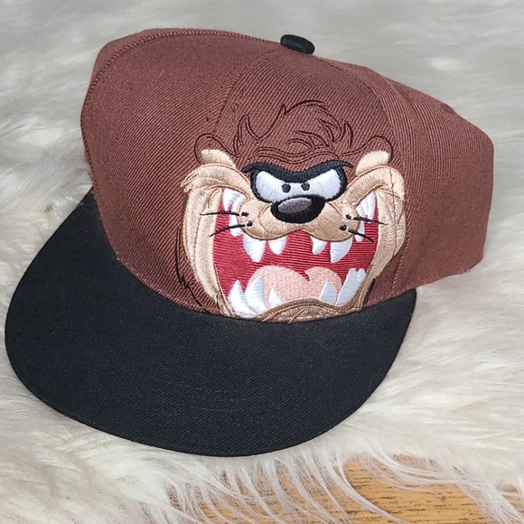 Vintage Other - Vintage 90s Tasmanian Devil snapback hat six flags